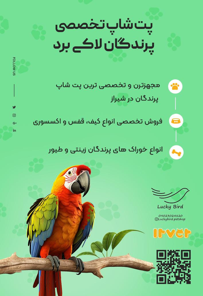 پت شاپ لاکی برد